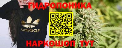 гидра Ярославль